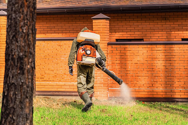 Trusted Ant Control service in Blue Ridge, VA - Nex Pest Control